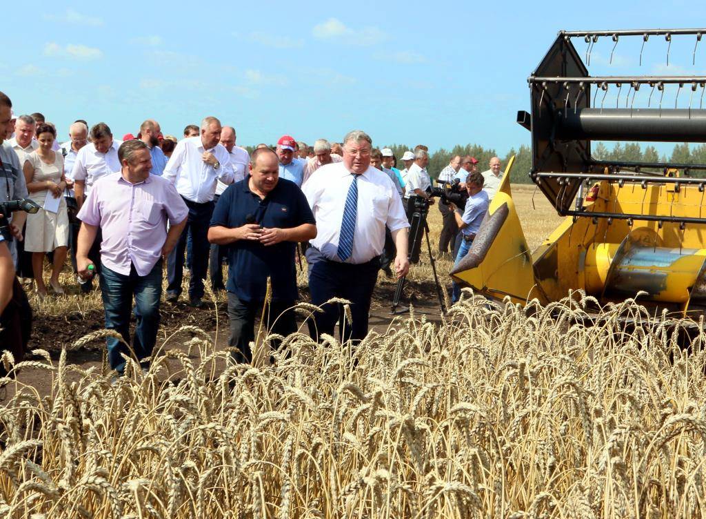 В Мордовии поставлен рекорд по урожайности зерновых